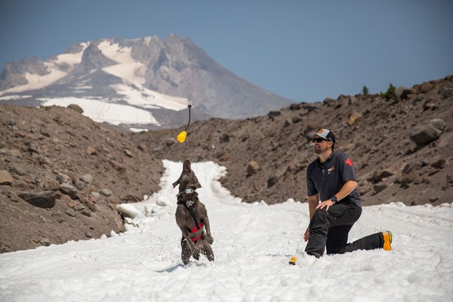 Ruffwear Huck A Cone