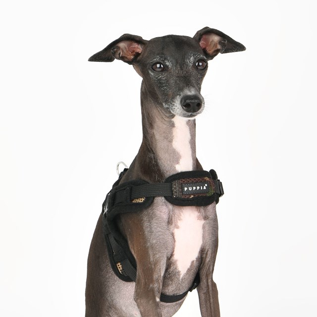 Soft Harness X - Camo - STEP-IN HUNDSELE