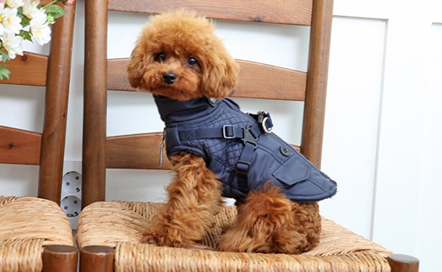 WILKES Navy - Hundtäcke med Integrerad Sele