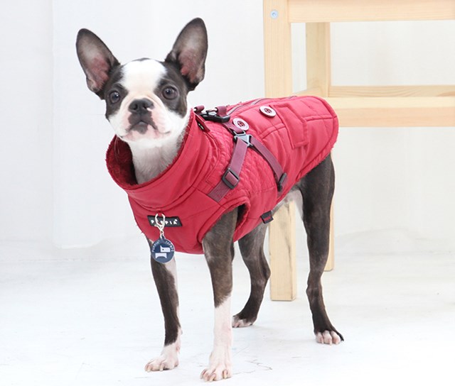 WILKES Red - Hundtäcke med Integrerad Sele