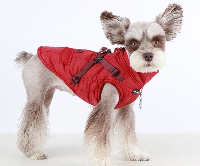 WILKES Red - Hundtäcke med Integrerad Sele