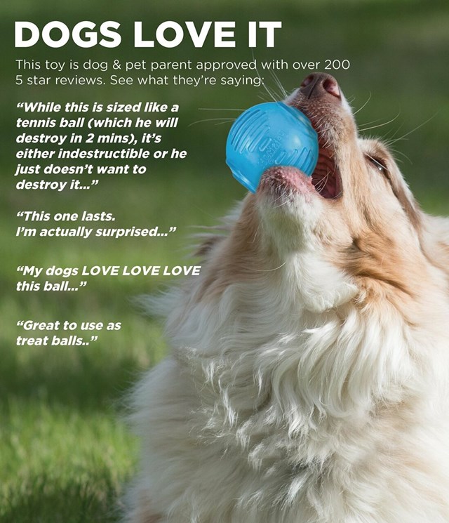 Petstages Orka Tennis Ball - extra slitstark