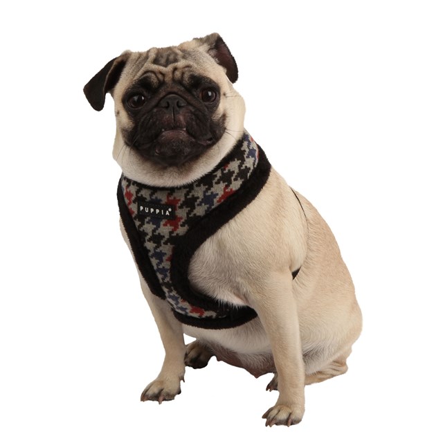 TESSELL Black - Fodrad Hundsele