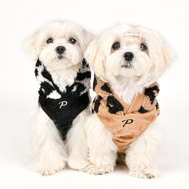 Serval - BEIGE Hundtröja