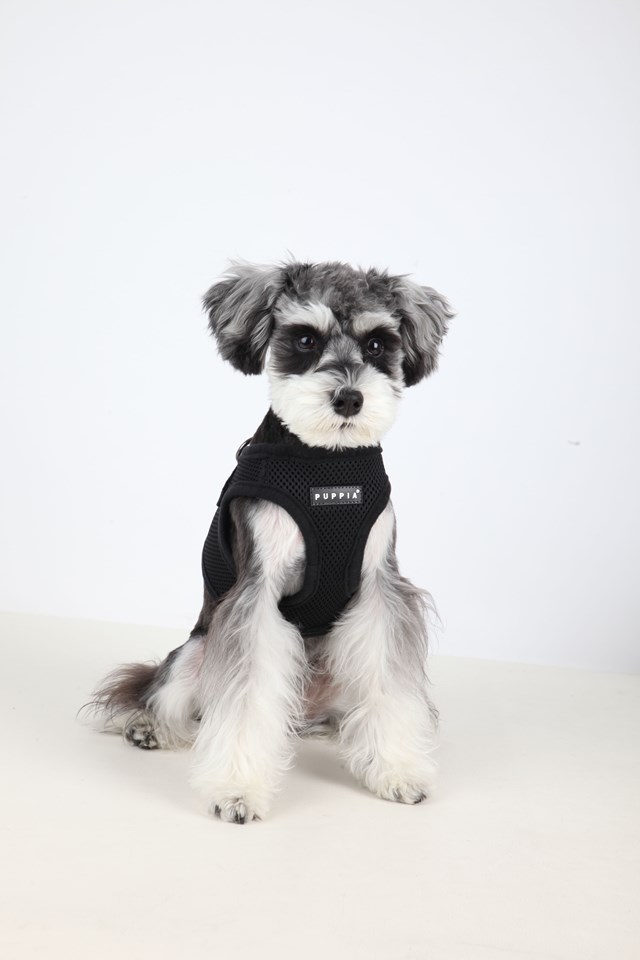 SOFT VEST Black - Hundsele