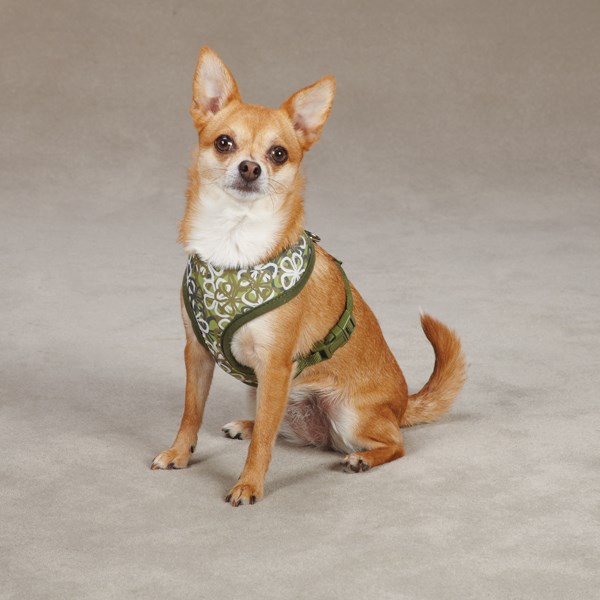 Carolina Green - Hundsele - Large