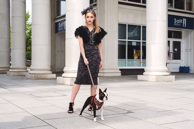 Hundsele Med Dödskallar Och Rosor