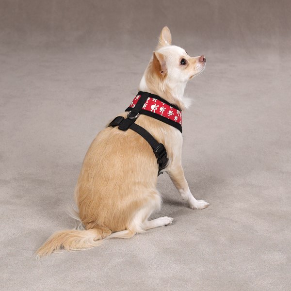 Crossbone - Röd Självlysande Sele